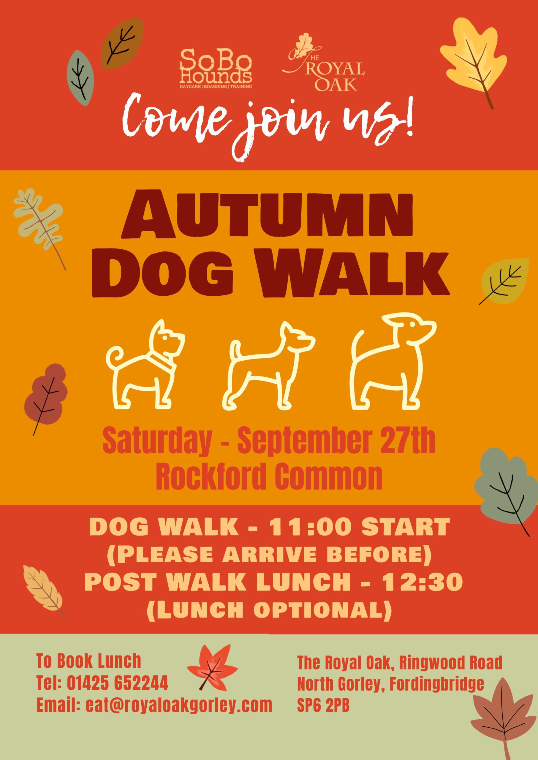 Autumn Dog Walk! 🐾🍂 – Saturday 27th September 🐕🦺